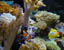 Left Side of Tank