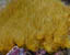 Yellow Polyps